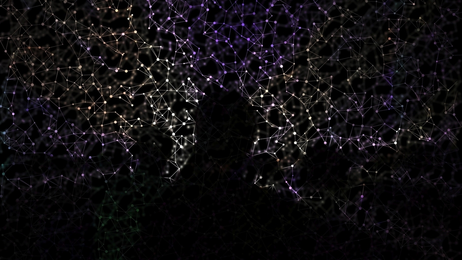 Video Virali dal Web