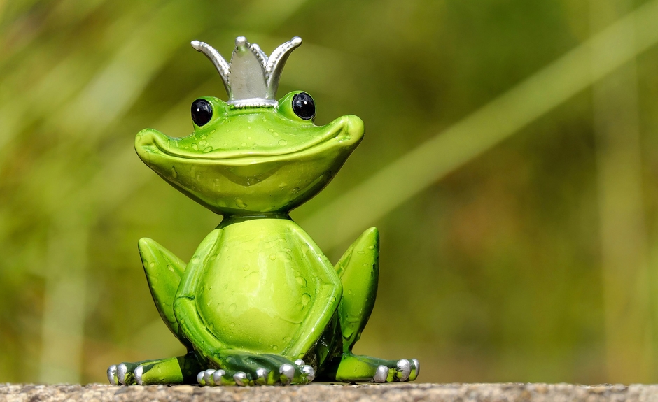 HappyFrogInt