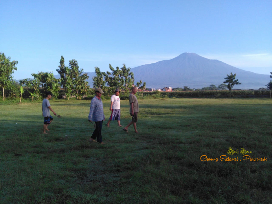 Everywhere I can See