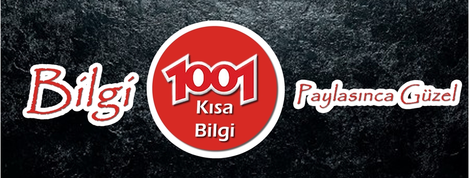 1001 Kısa Bilgi