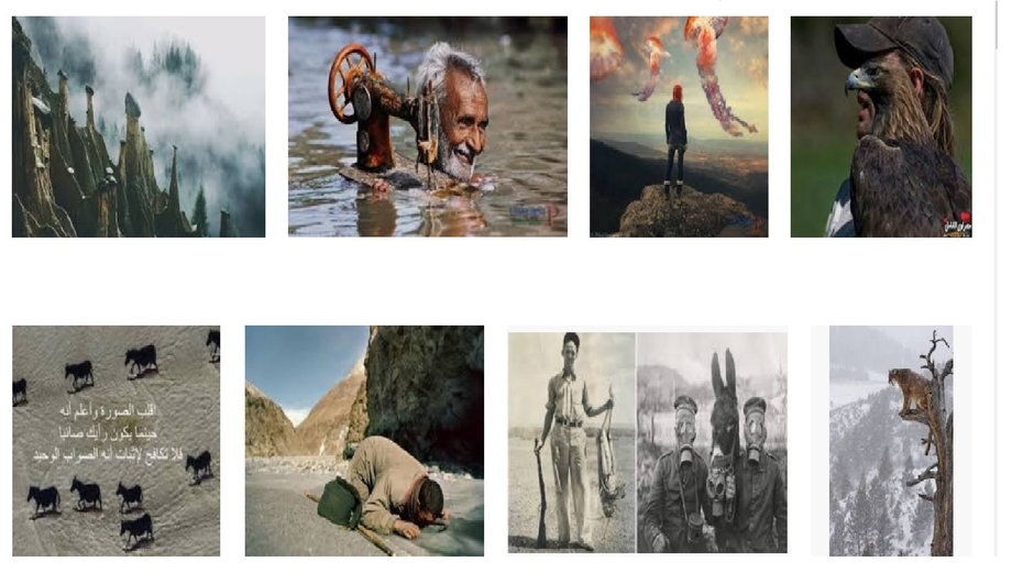 آش كاين تيفي