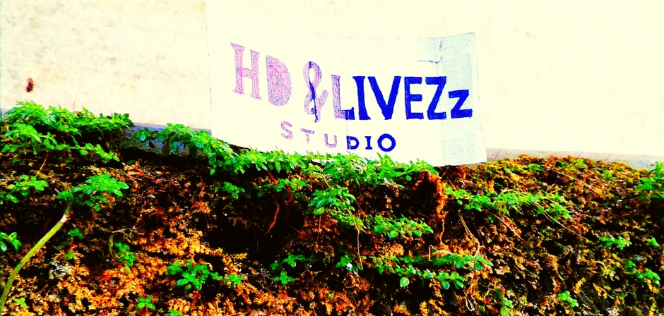 HD ANDLIVEZz