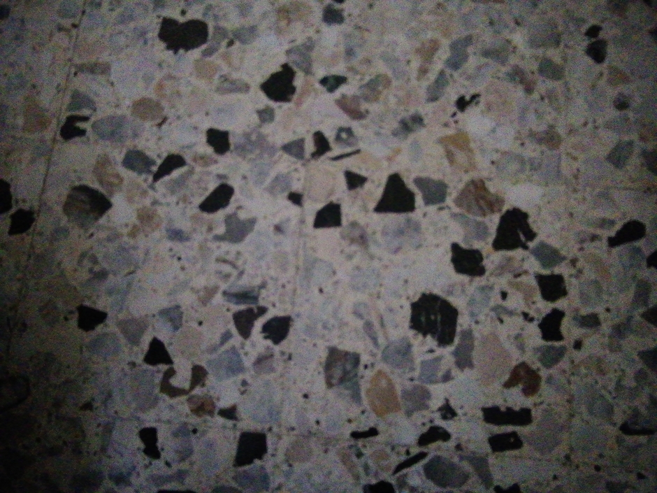 Stefy E le sue stelle