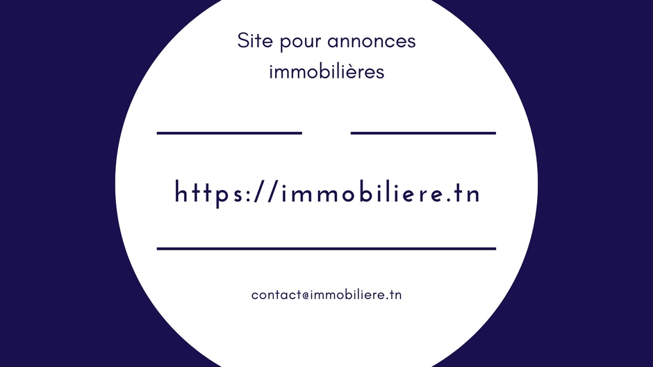 IMMOBILIÈRE TN
