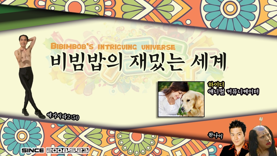 비빔밥의 재밌는 세계