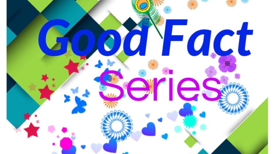 Good Fact Series