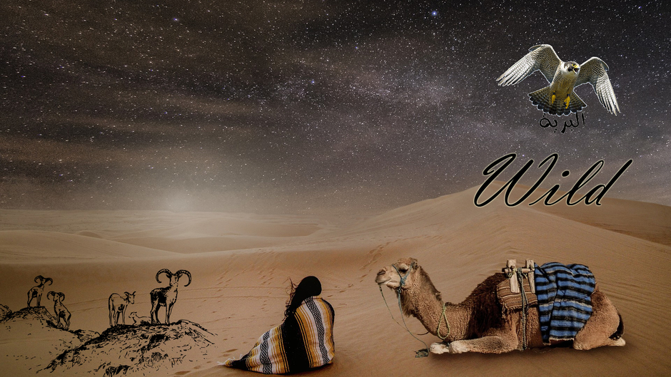 البرية - wild