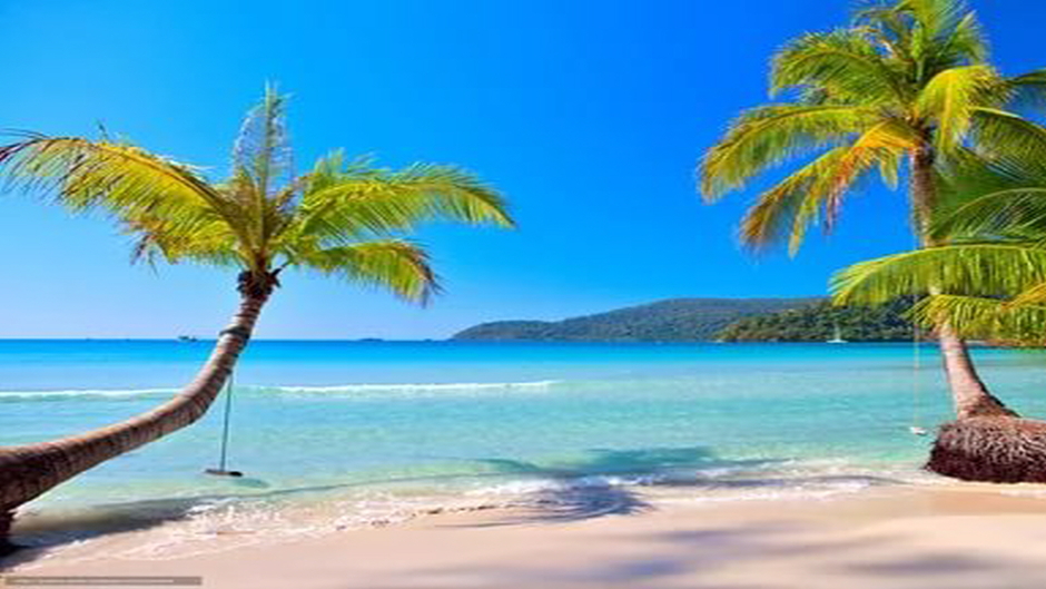 【엔트리 파워볼분석】【라이브스코어】실시간파워볼⊣ 【