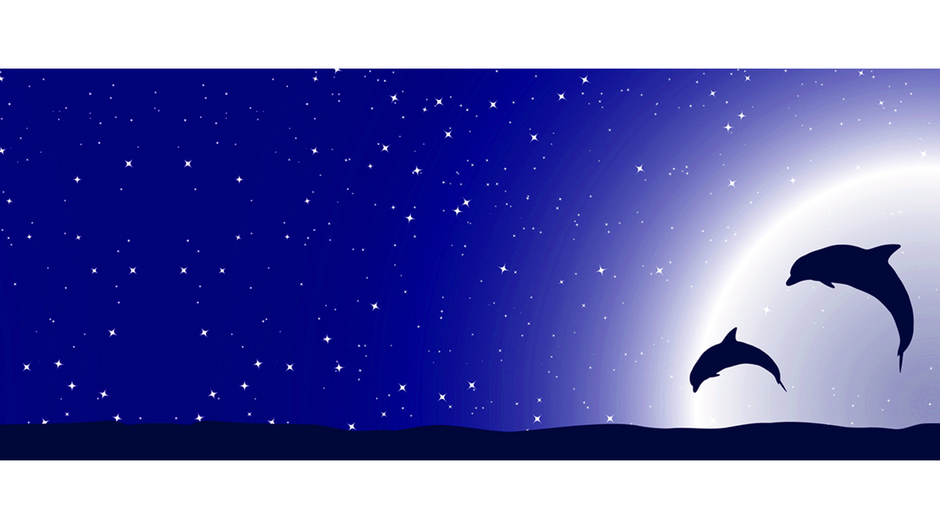 Brand and Reputation Marketing