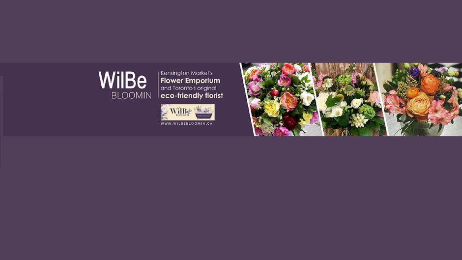 Wilbe Bloomin