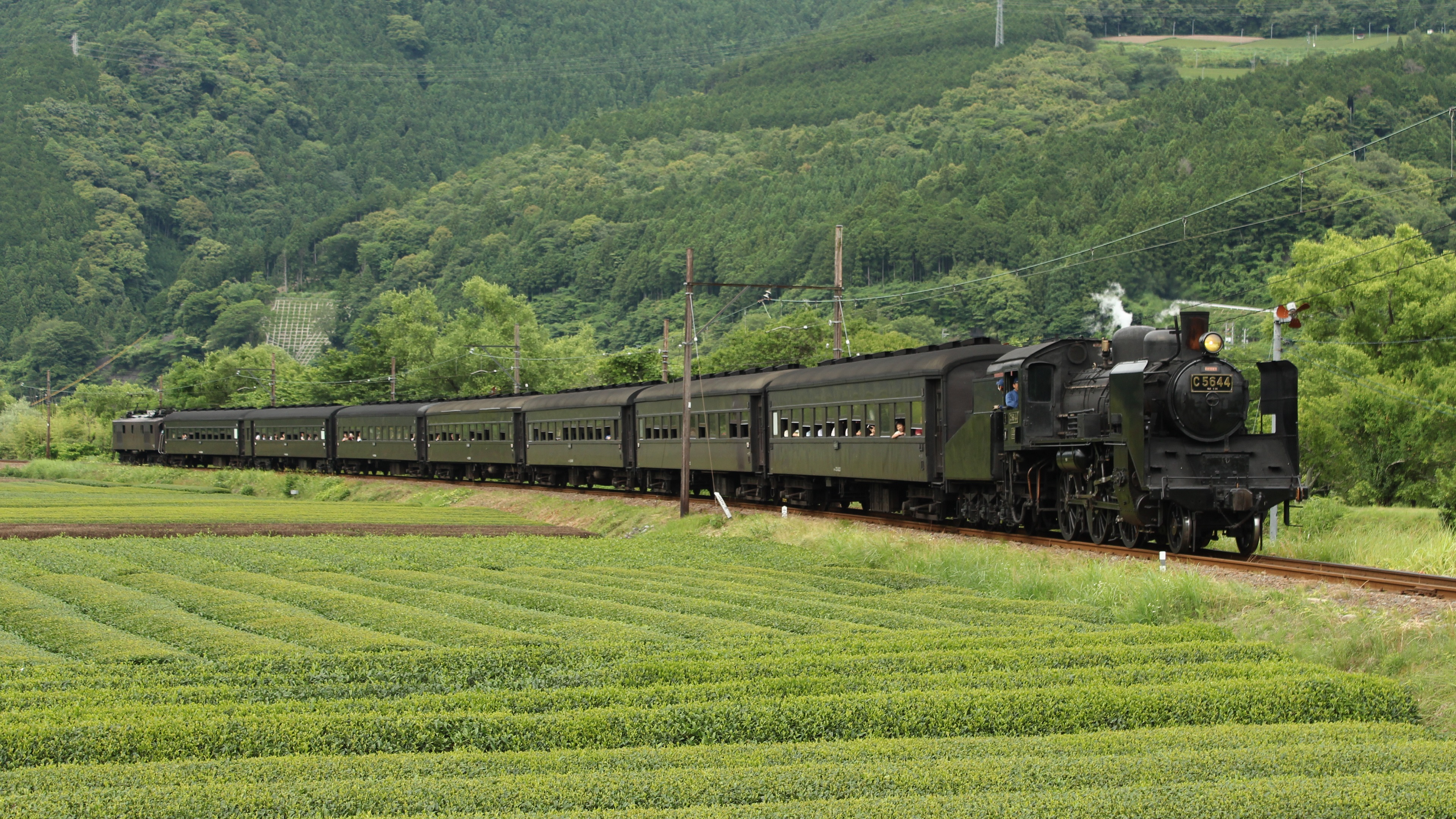 Berni Hasgen - the railway channel