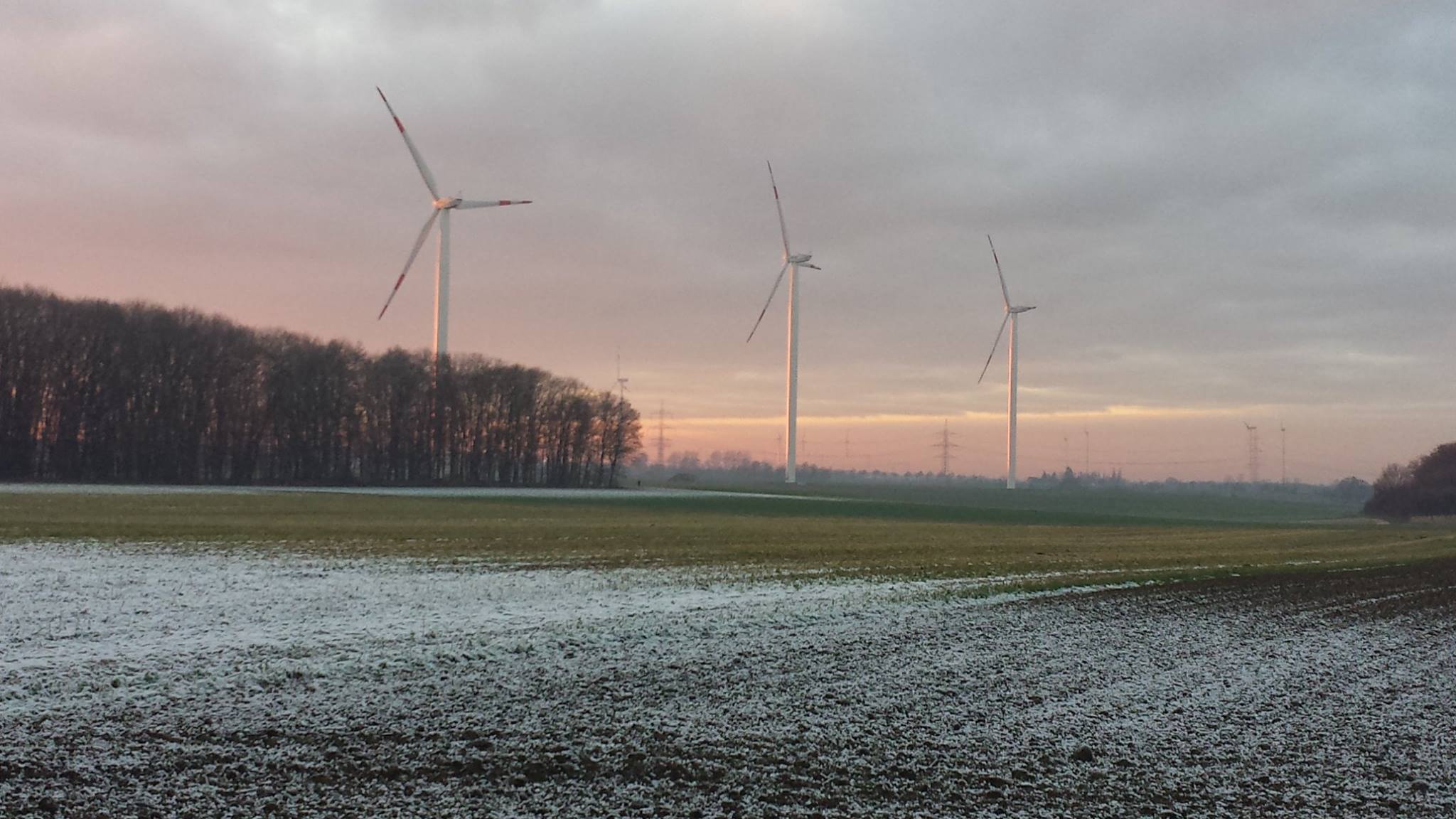 Business English Success