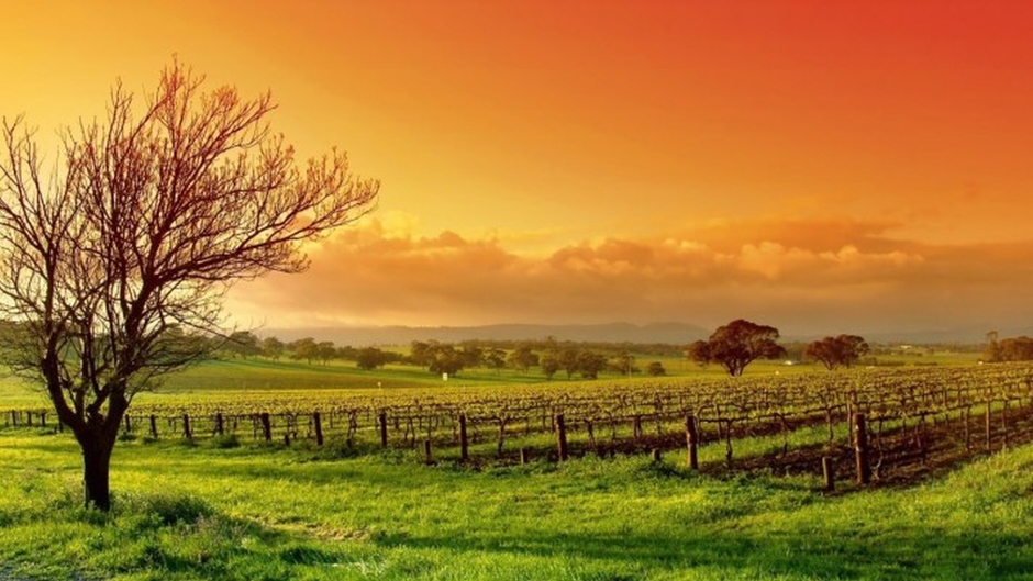 온라인바카라【hot-700.com} 온라인카지노】온라인바카라【hot-700.com} 온라인