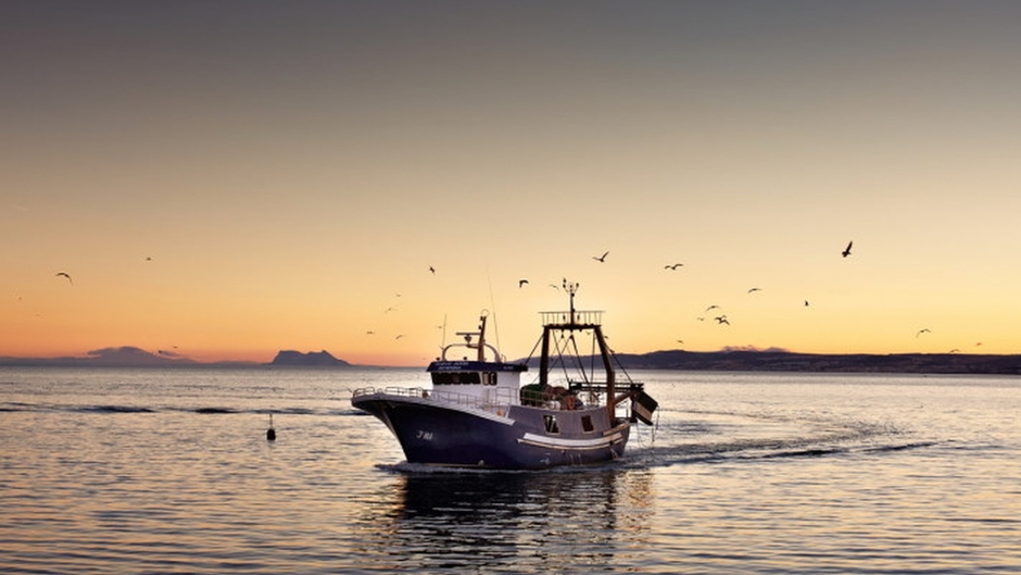 마이다스카지노 | 오리엔탈카지노 | 88카지노 |마이크로카지노hot245.com