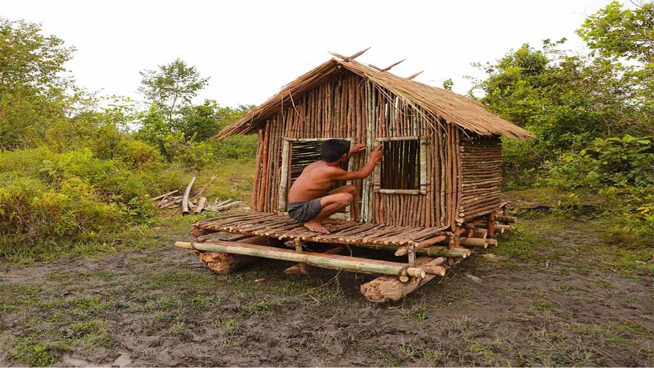 Primitive Creativity