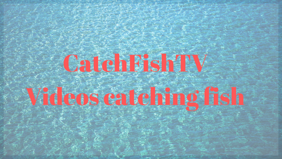 CatchFishTV
