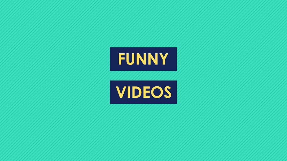 Funny Videos