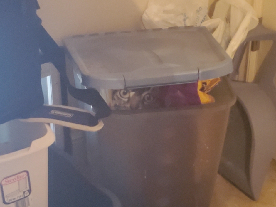 Lowtiergod Compilations