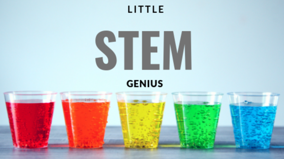 Little STEM Genius