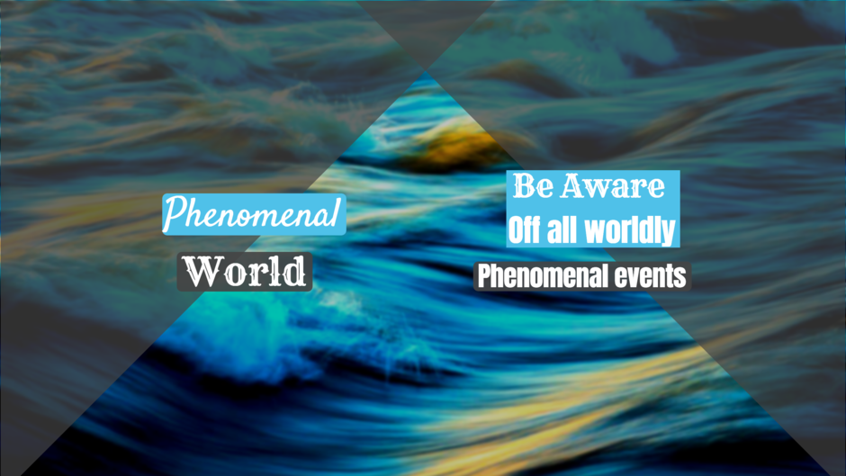 Phenomenal World