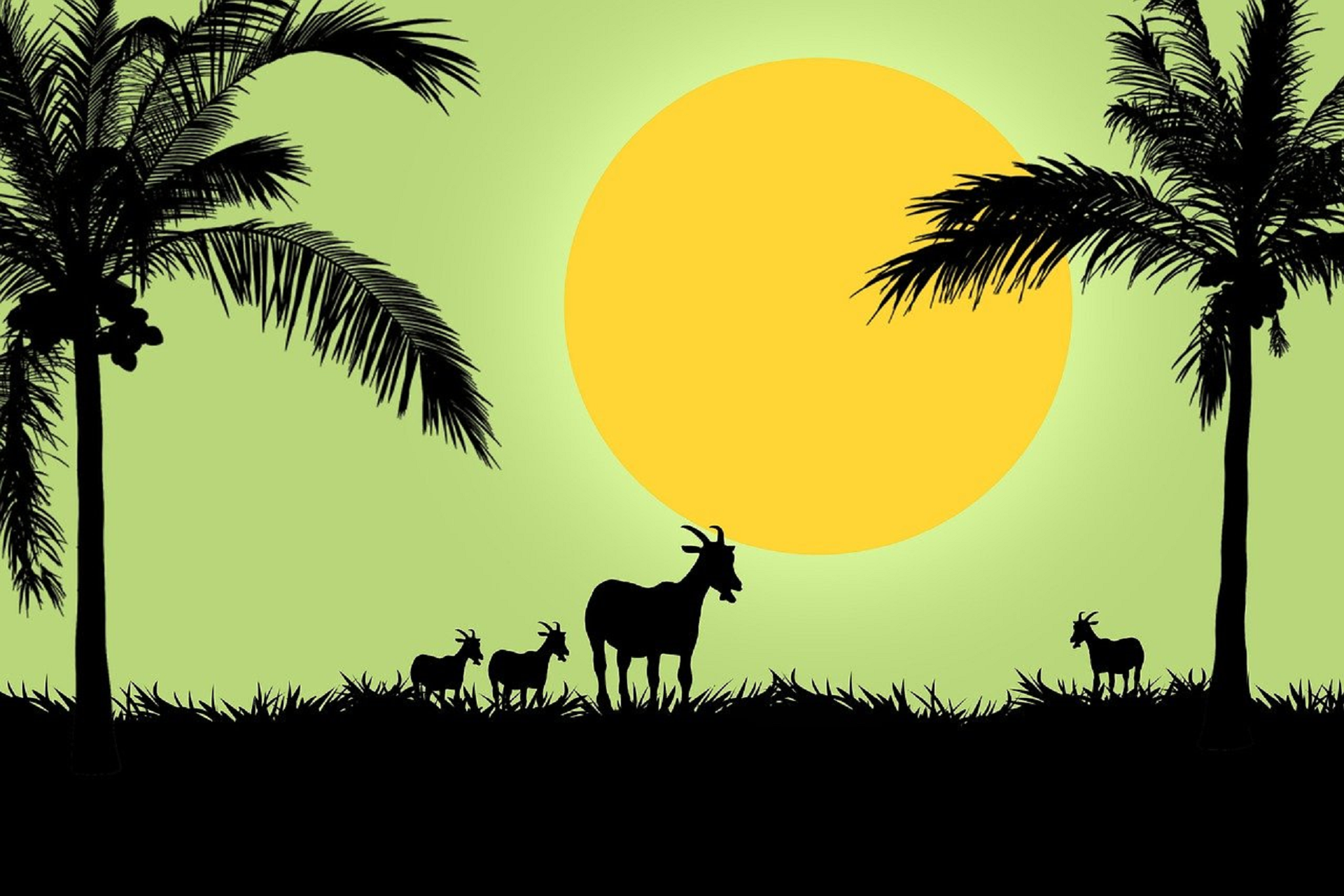 علي الفرهود