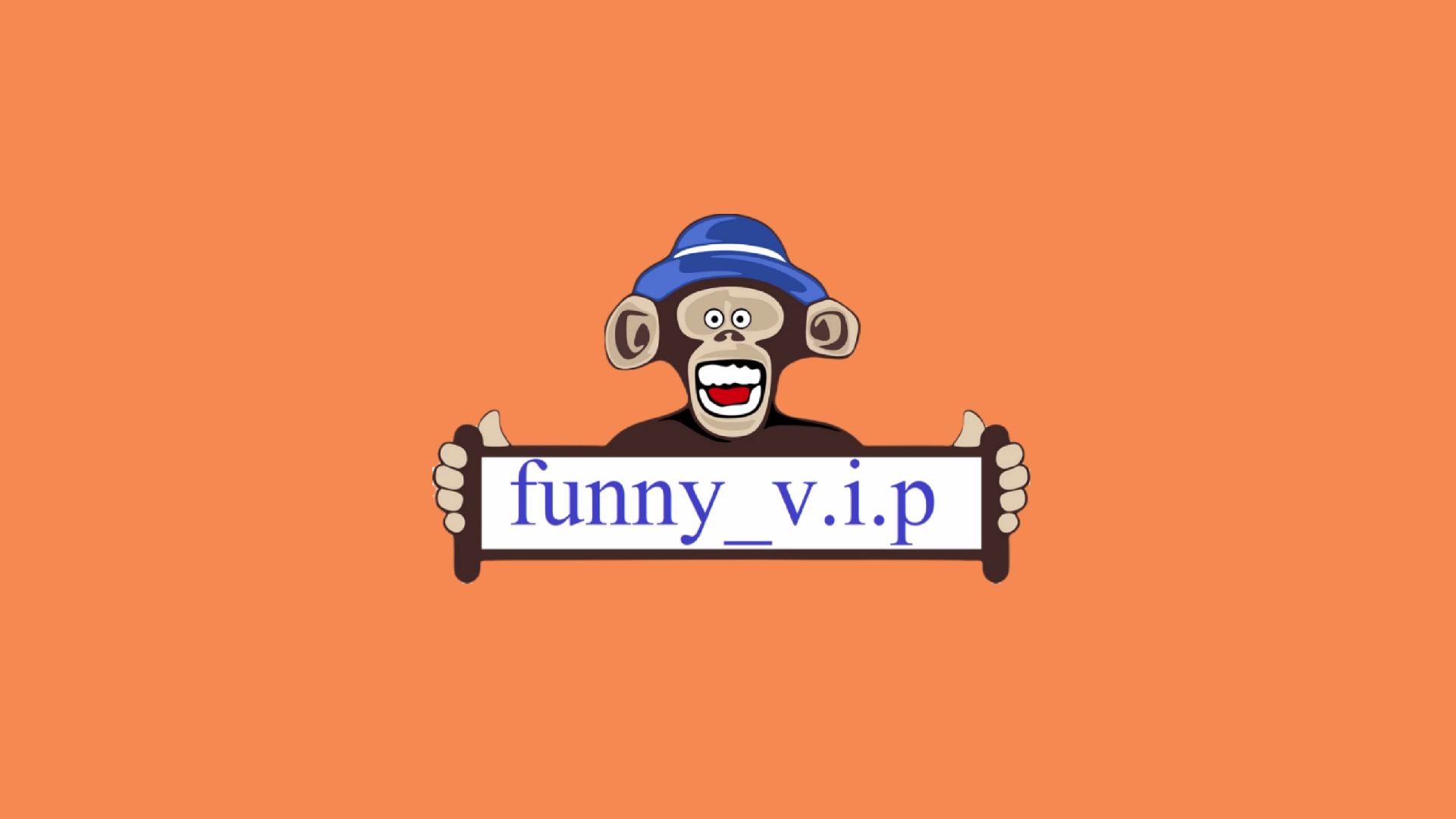 funny_v.i.p