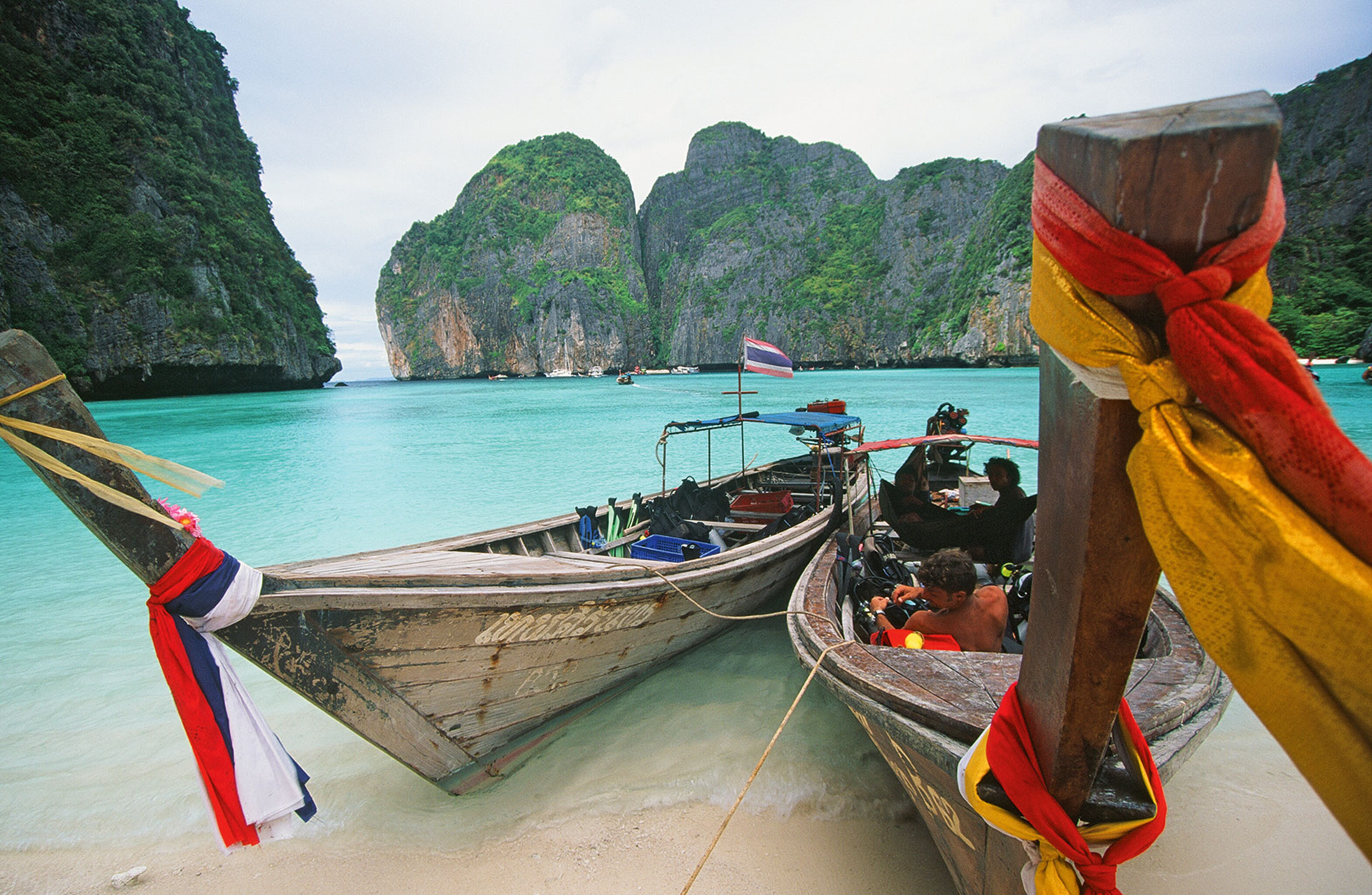 ΑΓΡΙΕΣ ΜΕΛΙΣΣΕΣ