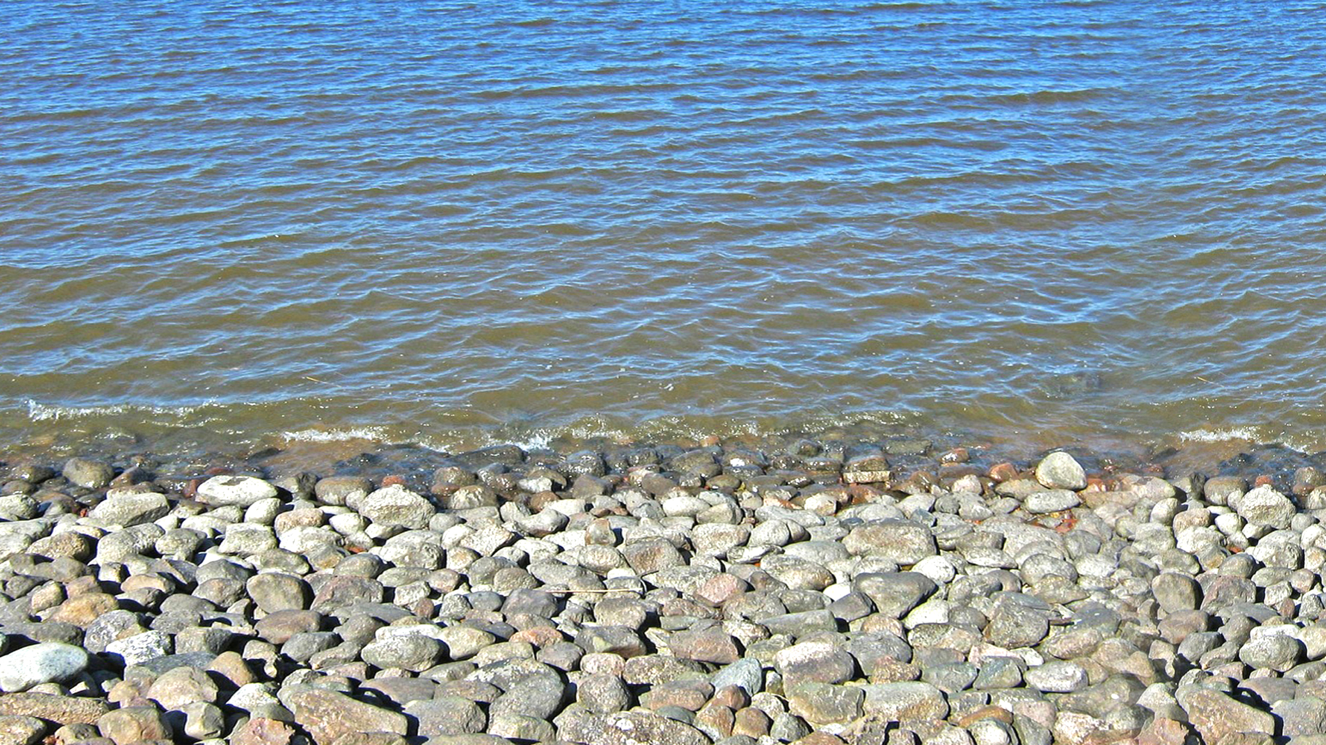 धर्म-अधर्म