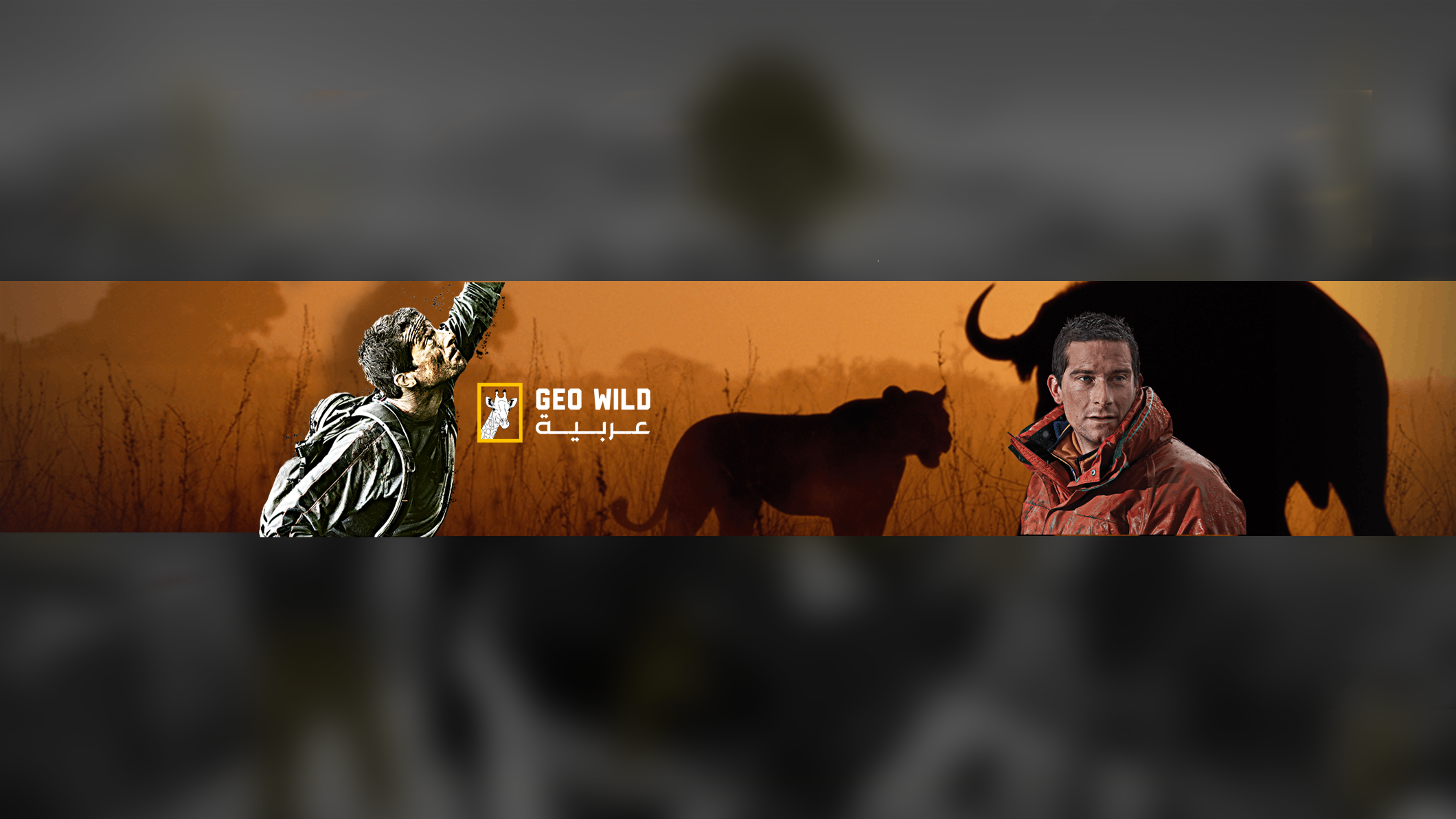 Geo Wild Arabiya