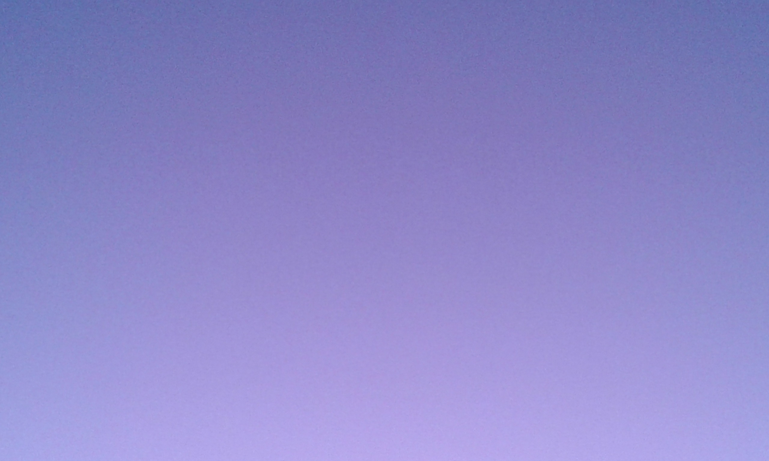 محمد زين حج عيسى