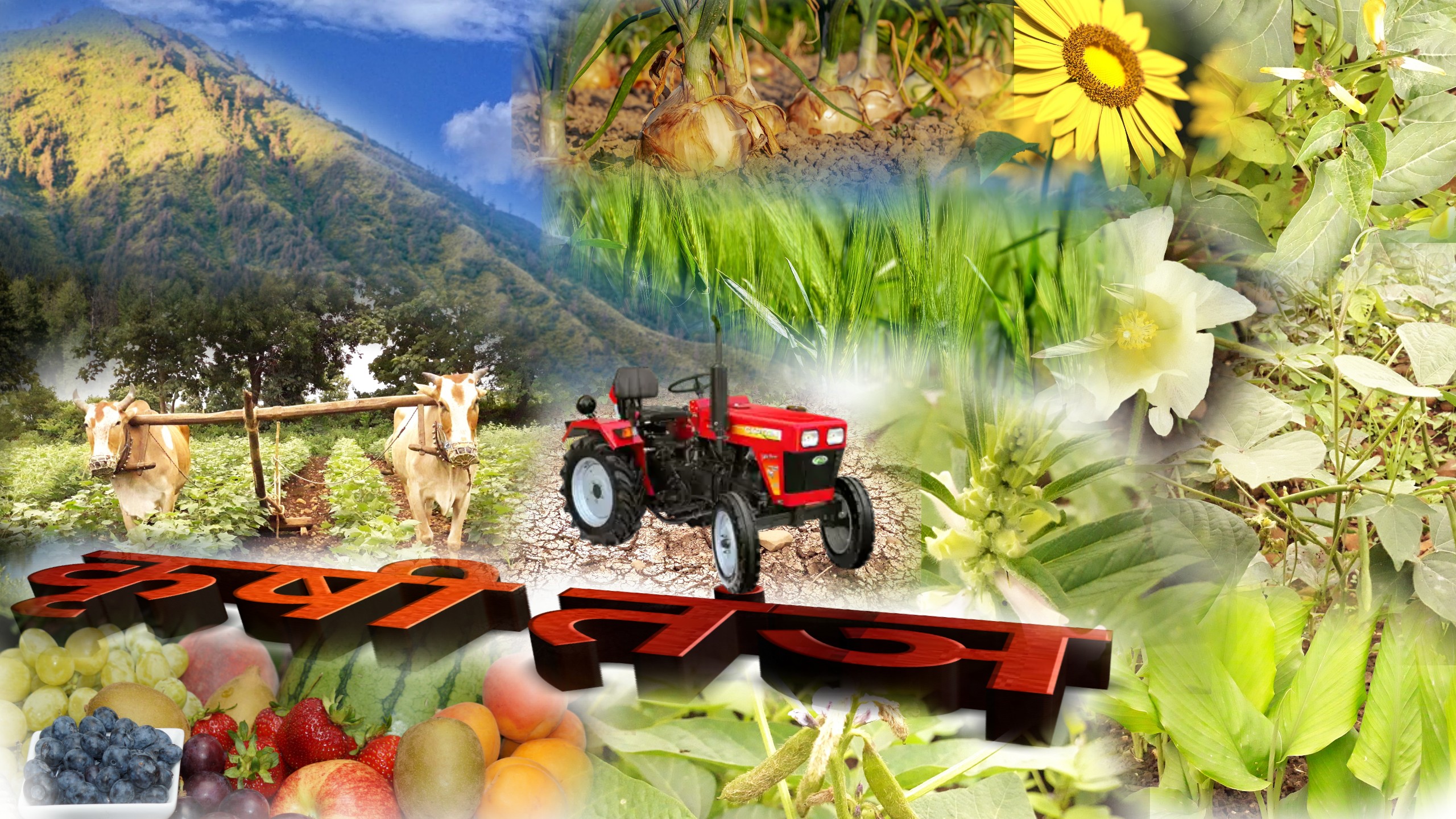 कृषी तंत्र