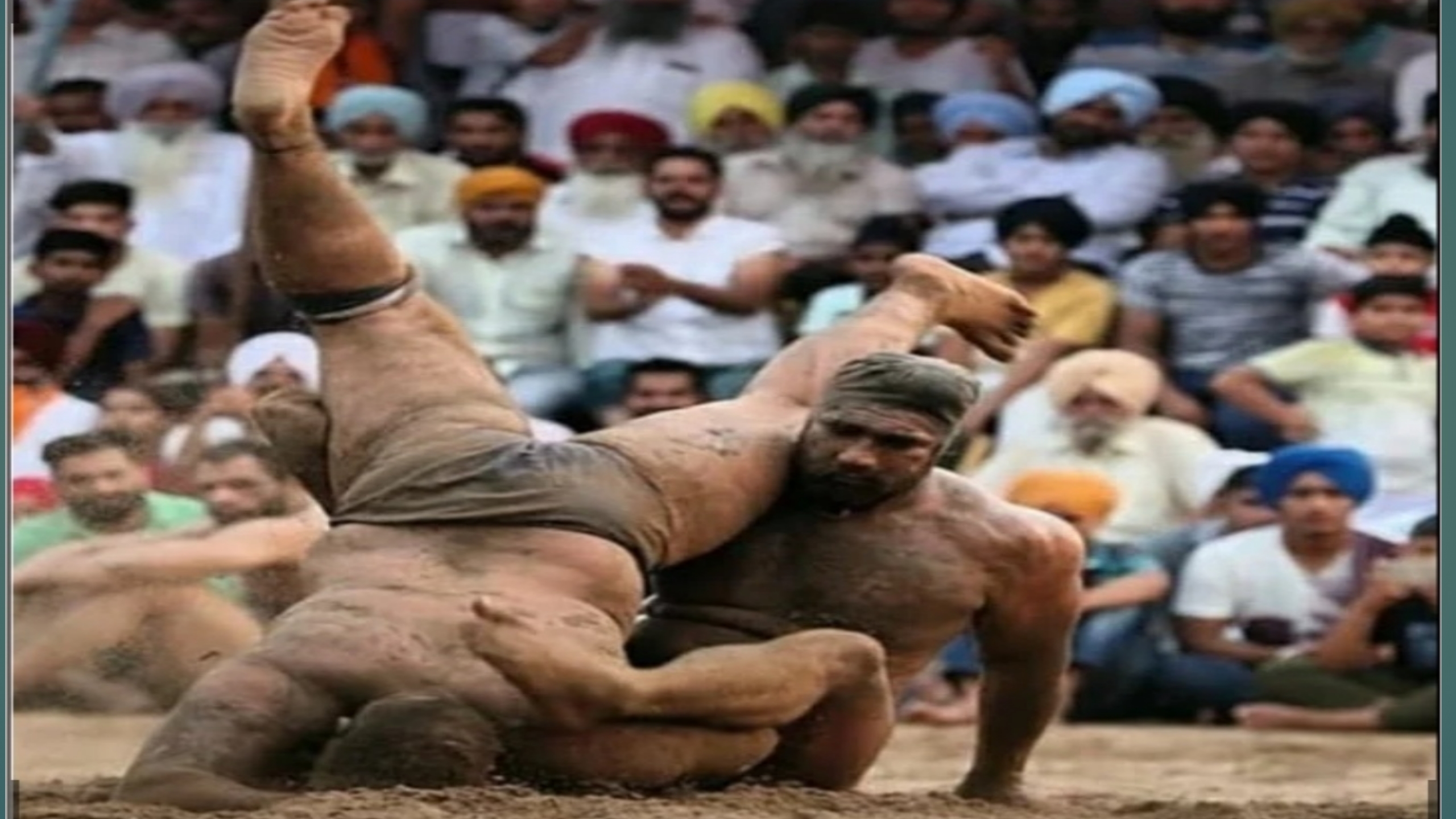 India wale tiger wrestling
