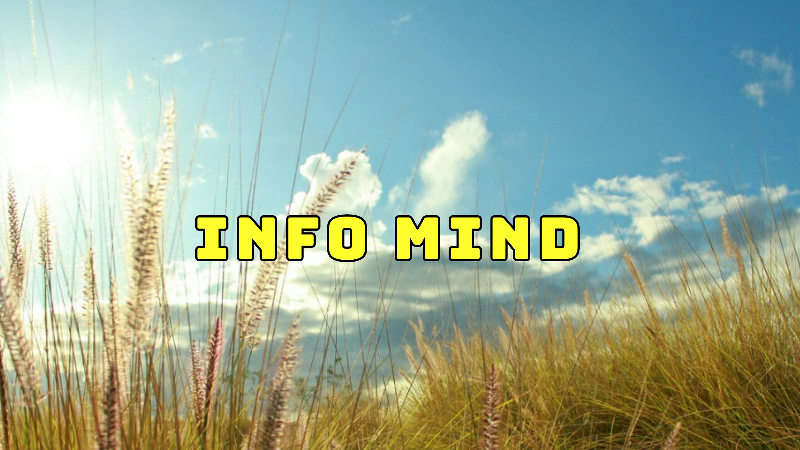 Info Mind
