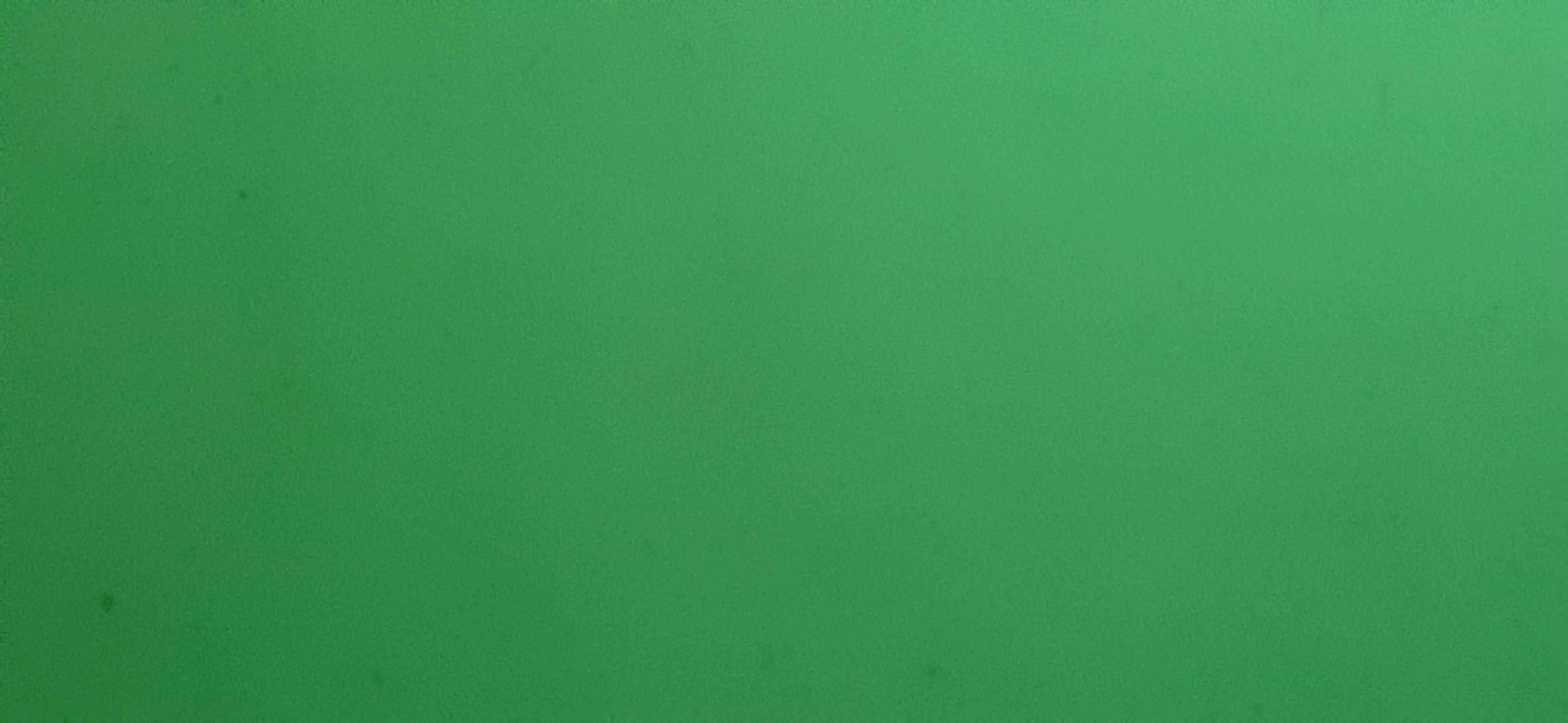 panchatantra stories