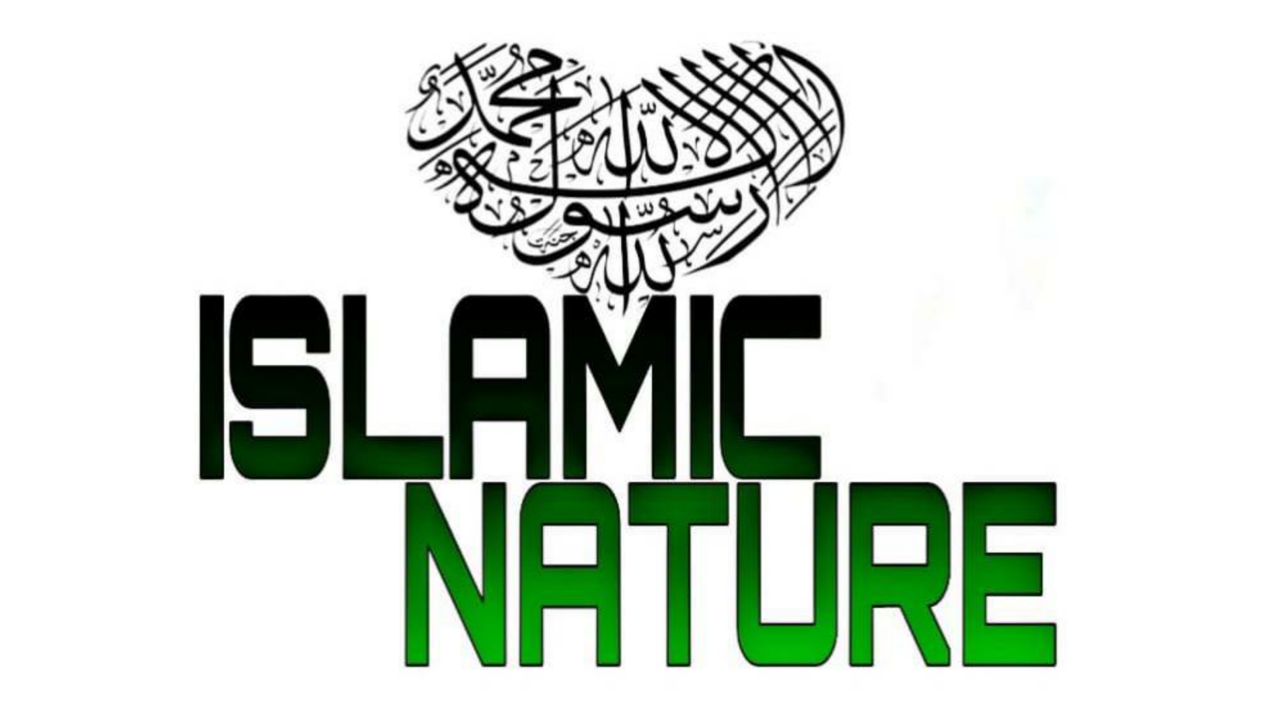 Islamic Nature