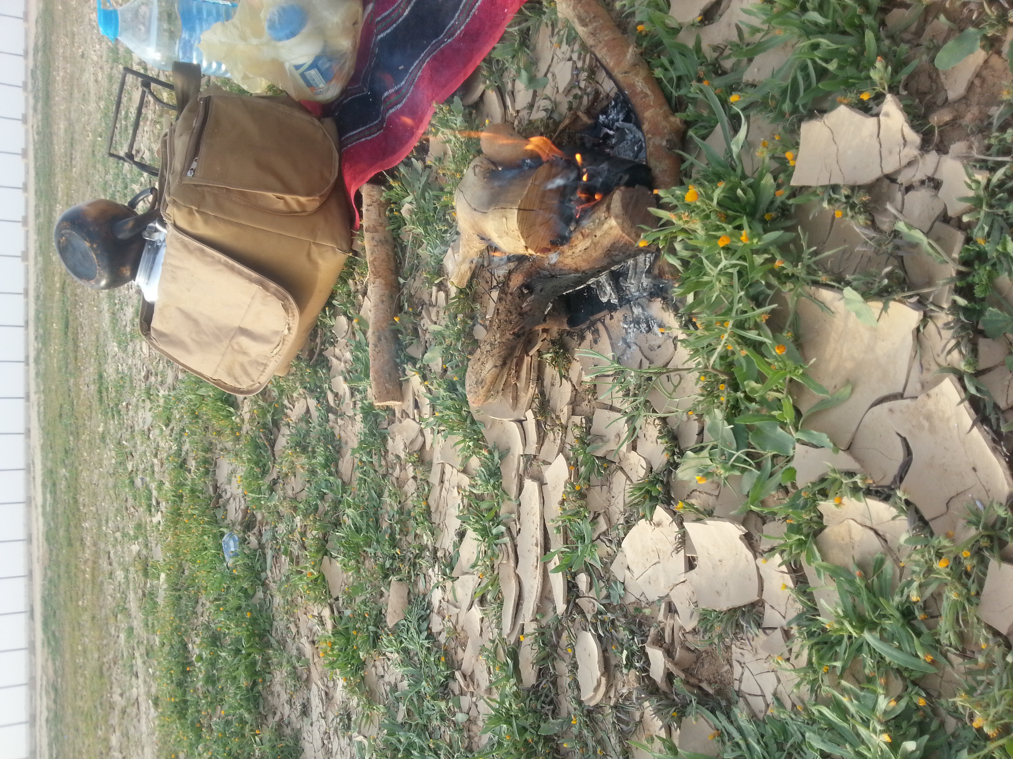 حالات واتس اب