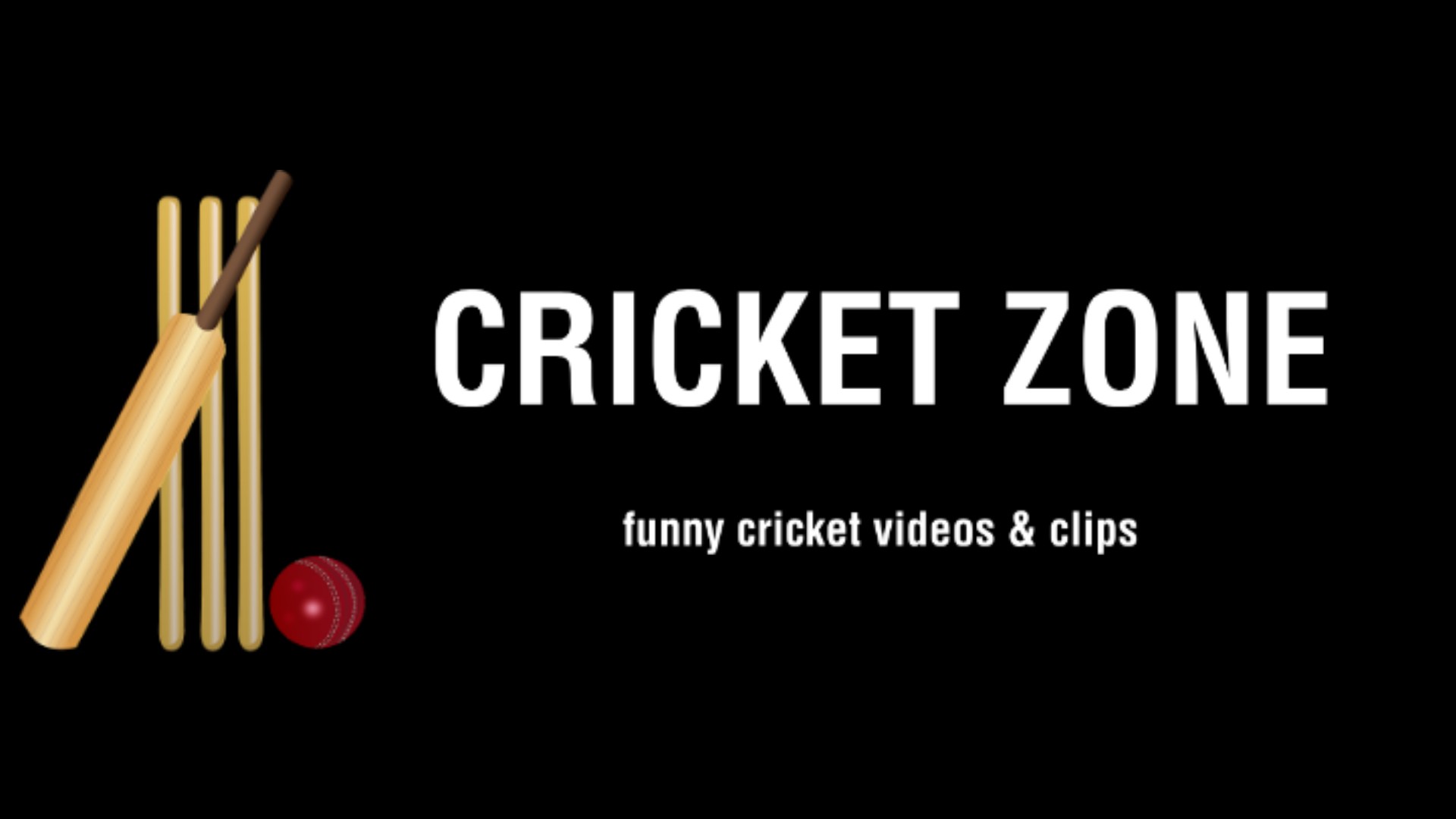 CRICKET ZONE