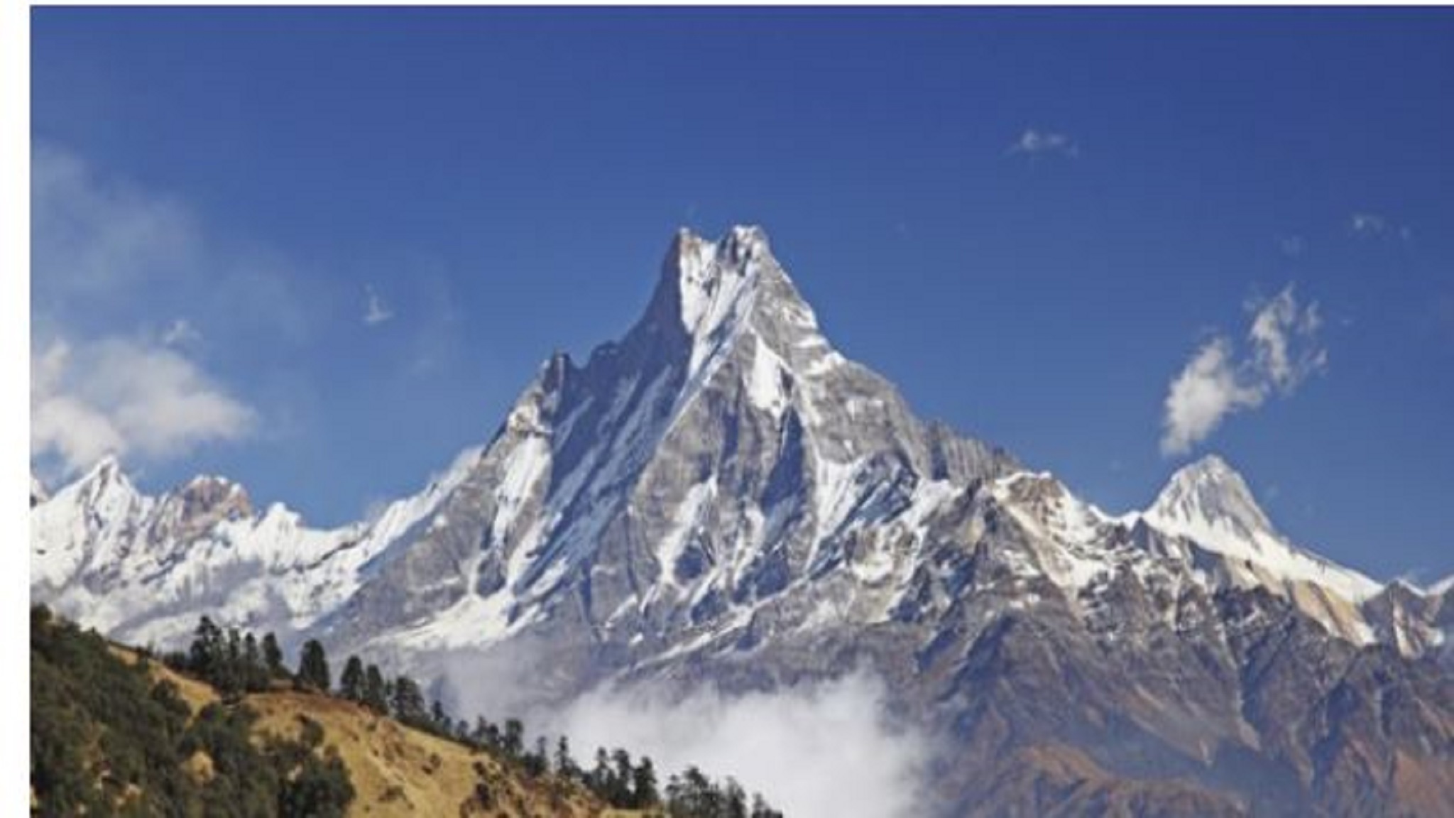 dm_be957b6acd7e490e8b2b4b1fceb5fe75