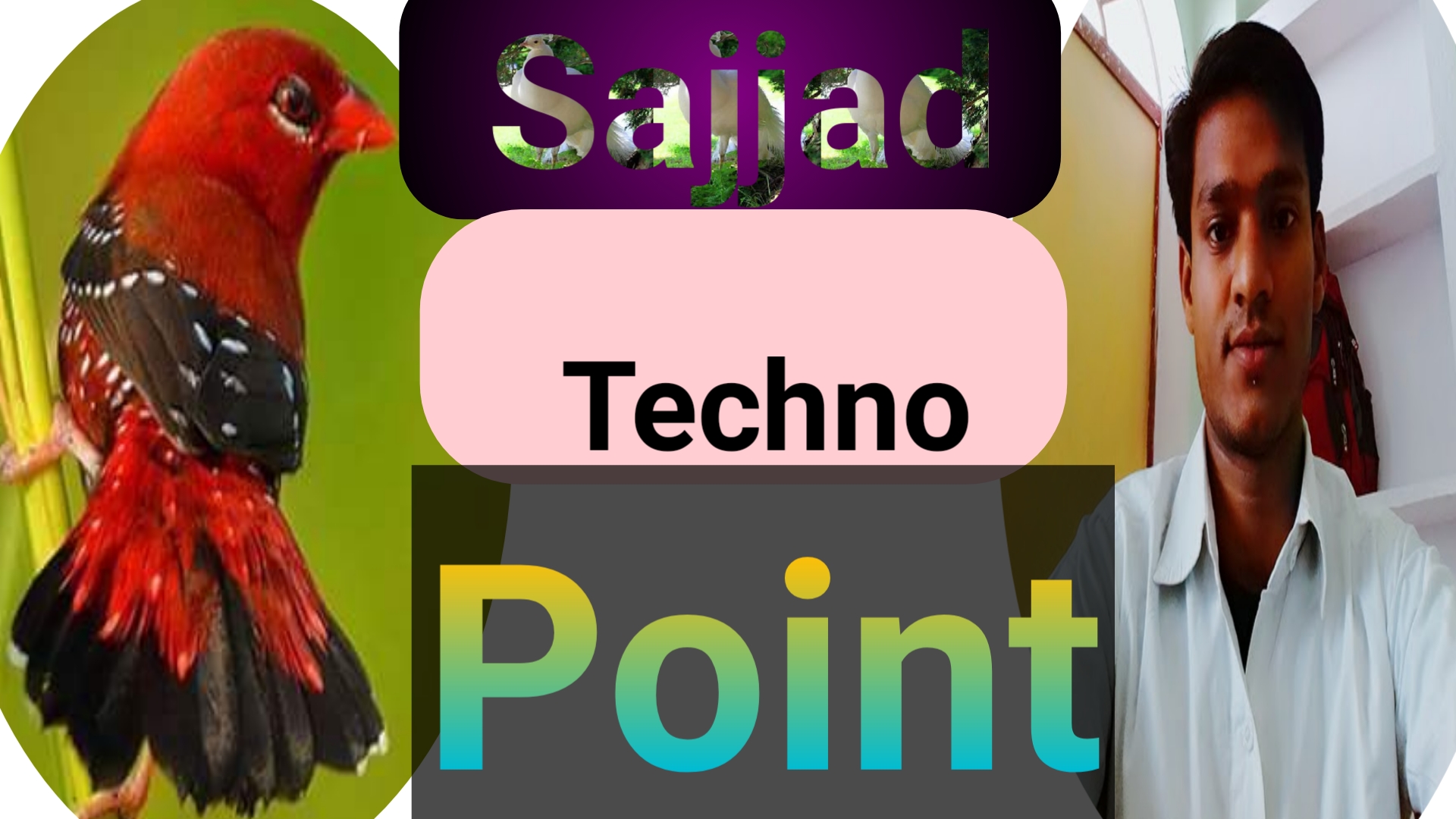 Sajjadtechnopoint