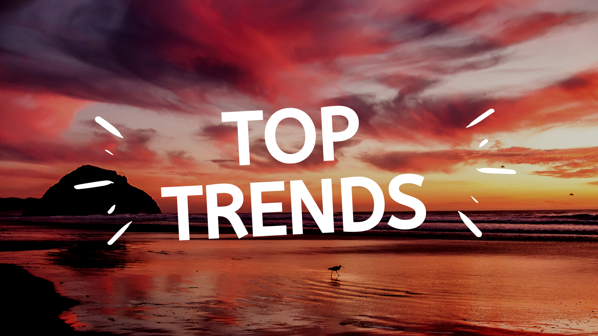 Top Trends