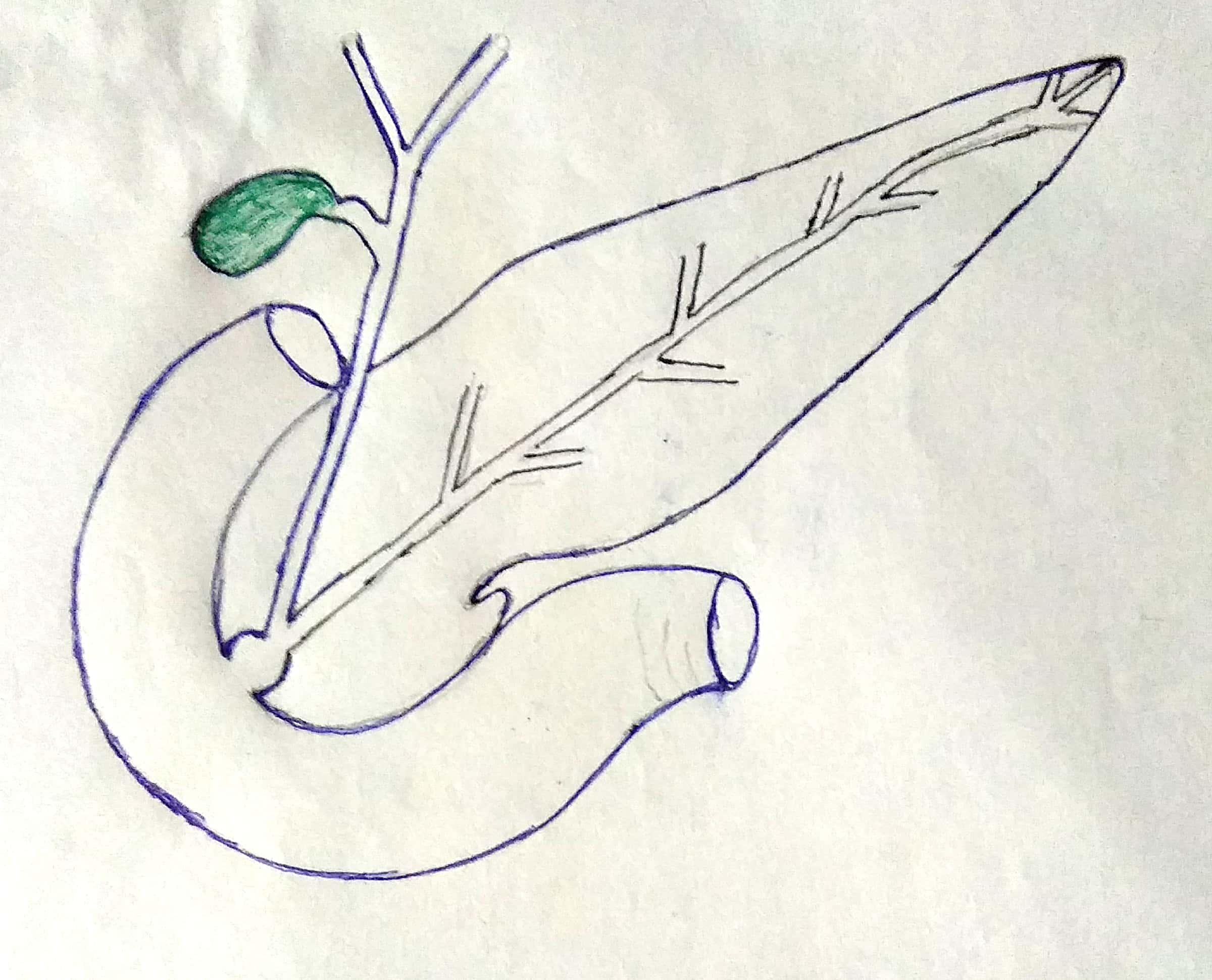 NEET Aspirant Classes