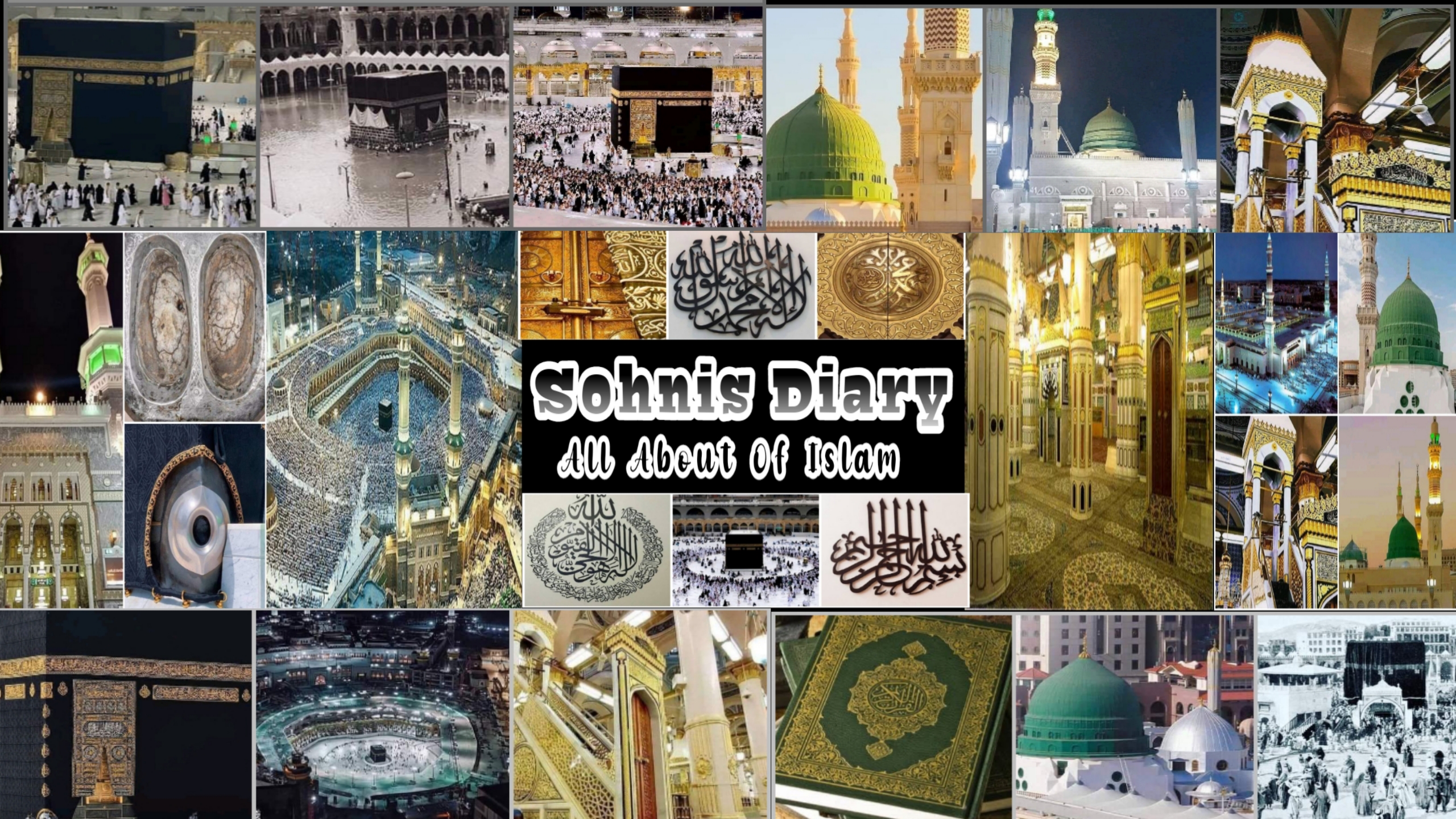 Sohnis Diary