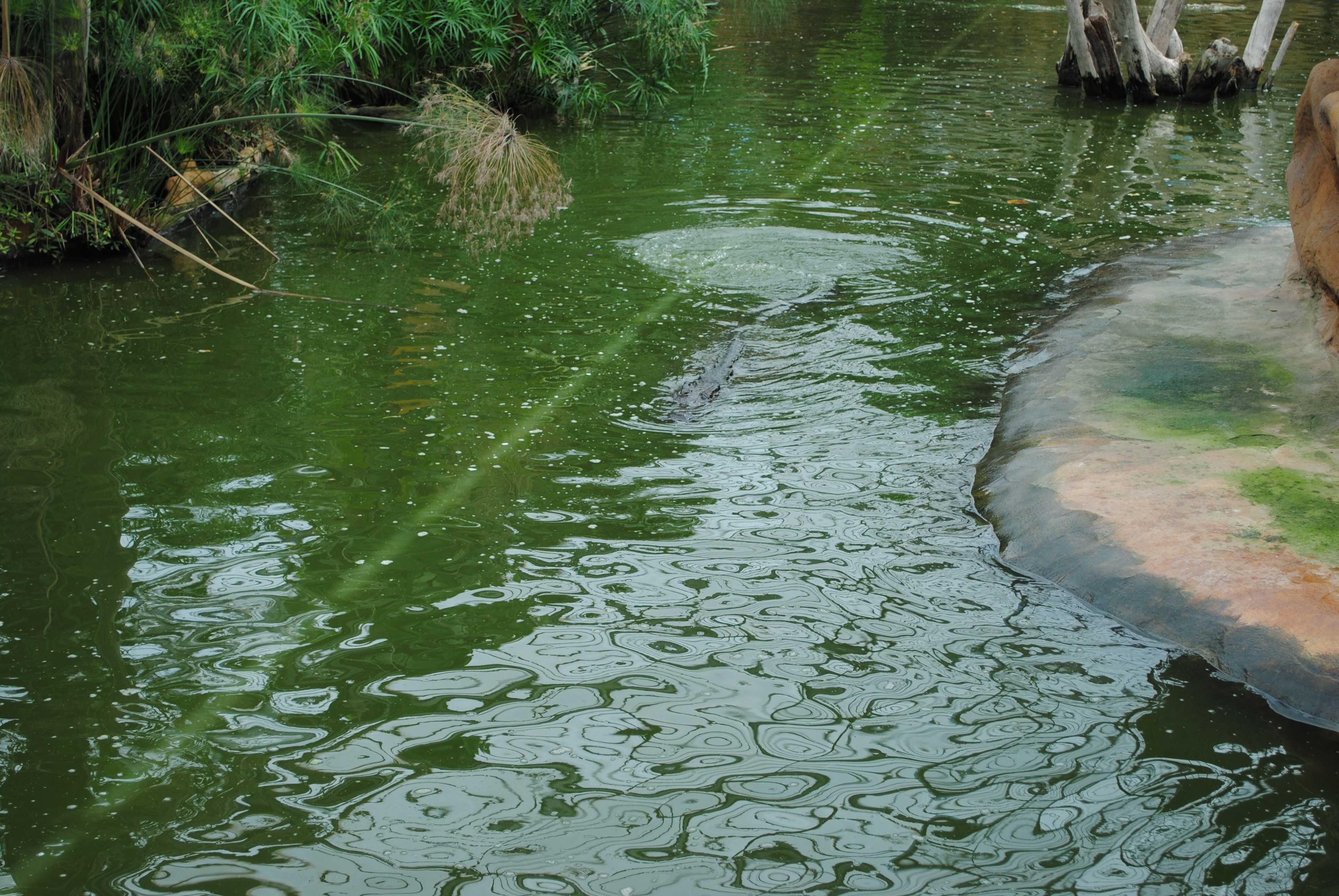 MUSIQUE  MIXTE / MIXED MUSIC