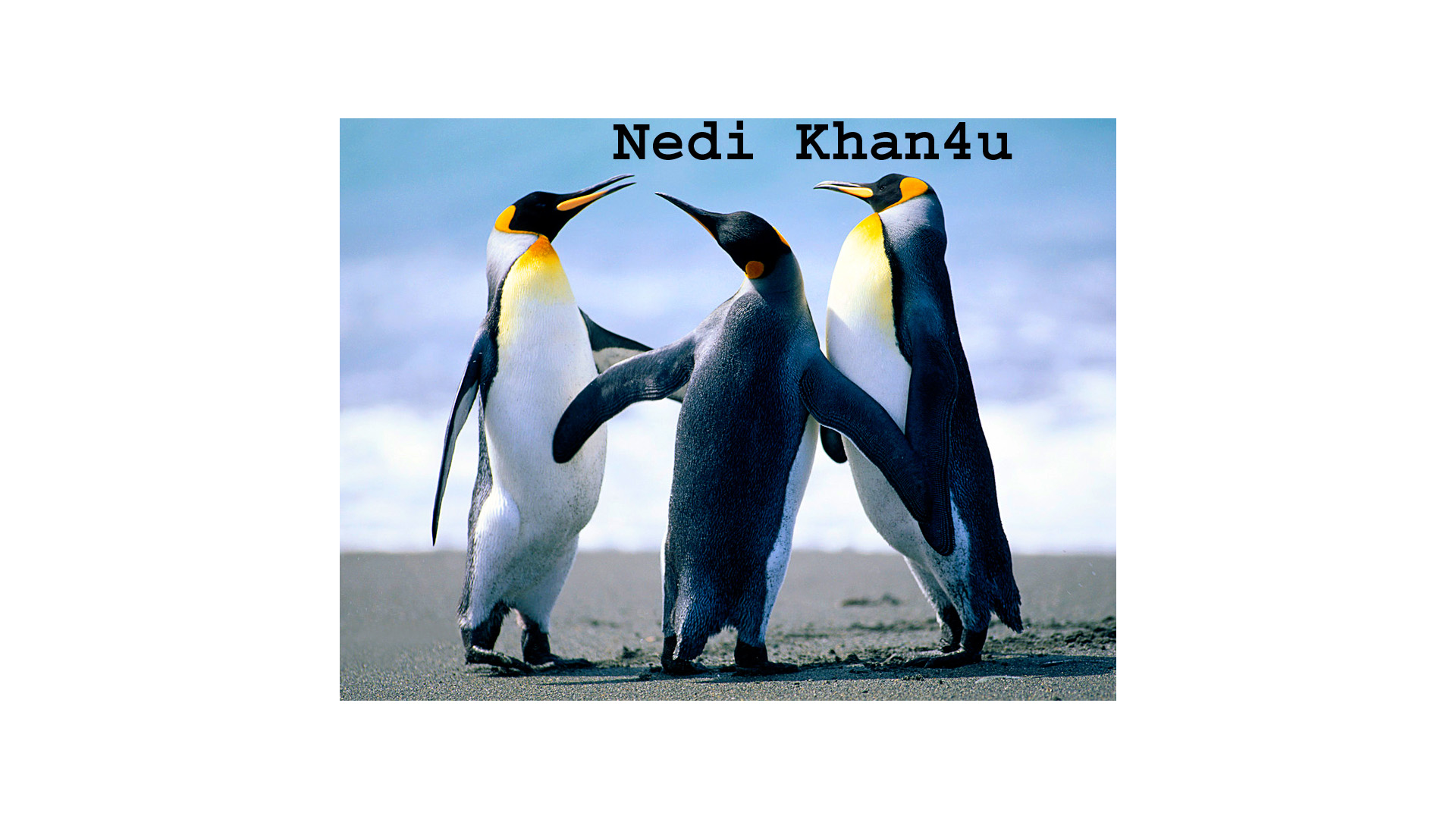 Nedi Khan4u