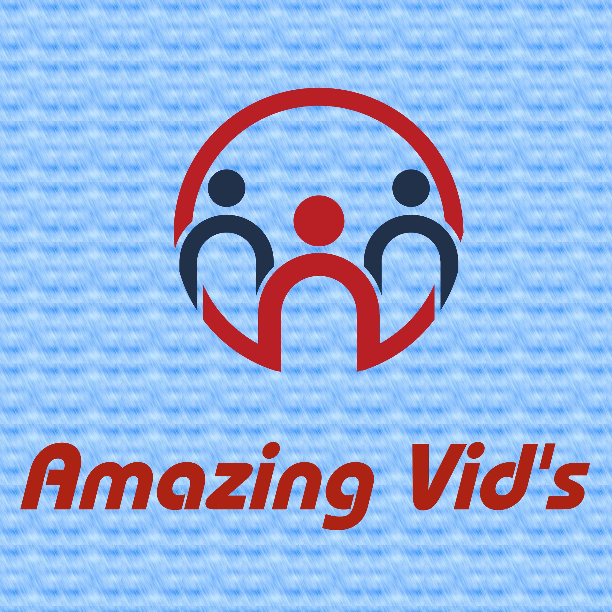 The Amazing Vid's