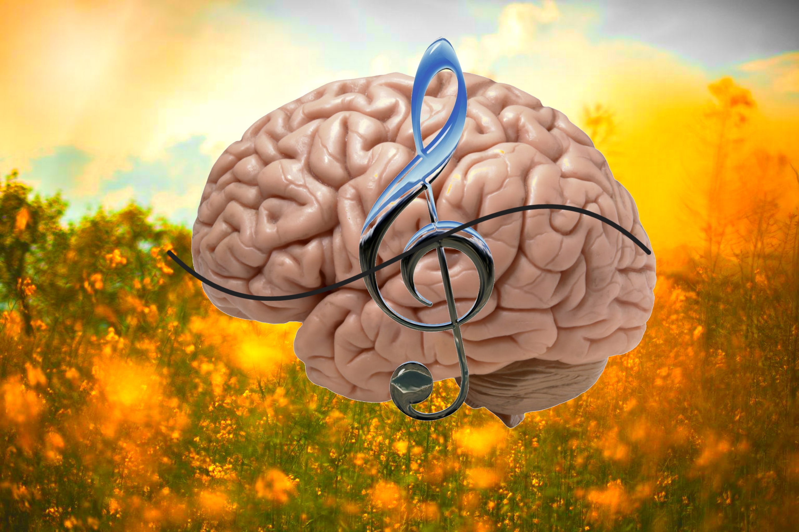 Brain Music Entertainment