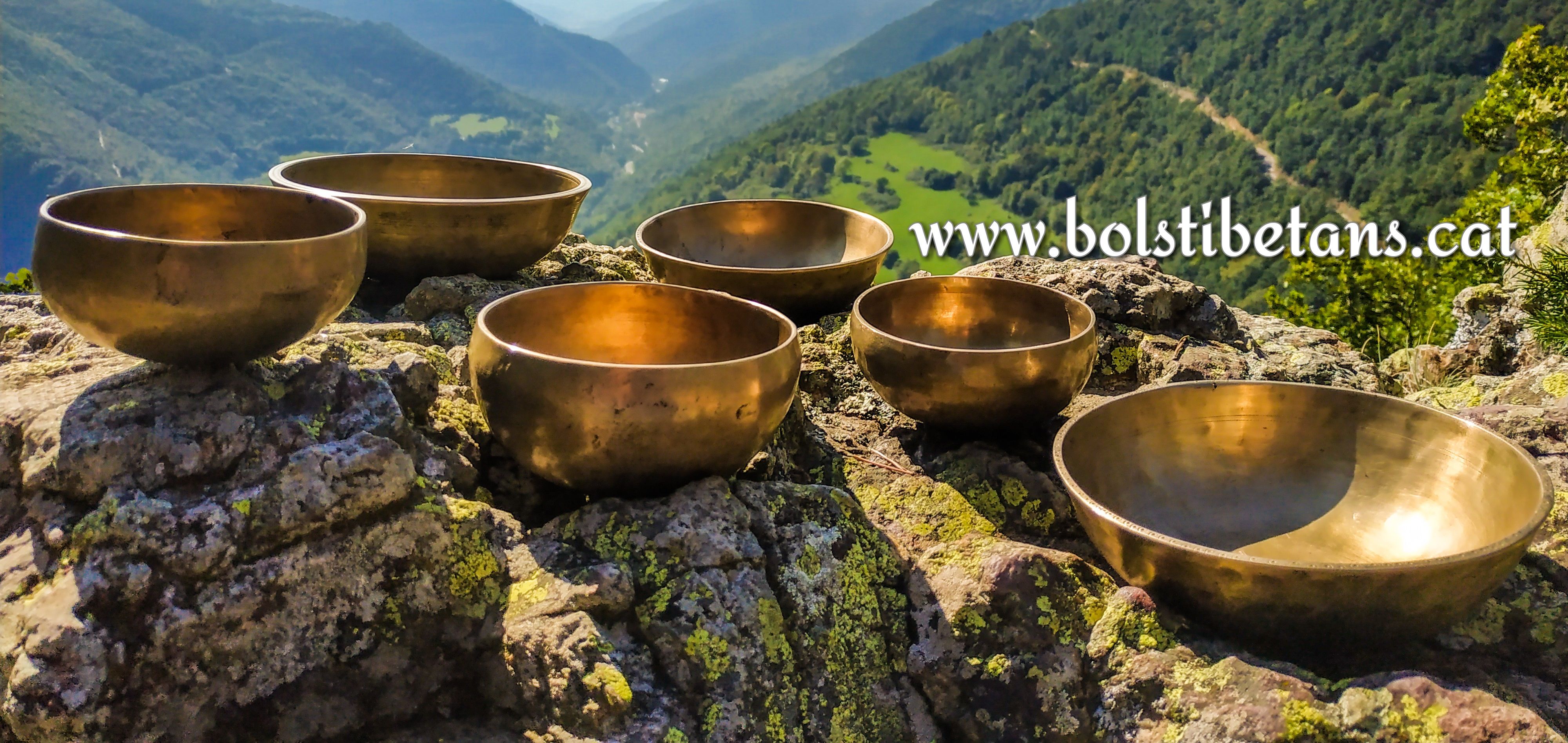 Singing Bowls