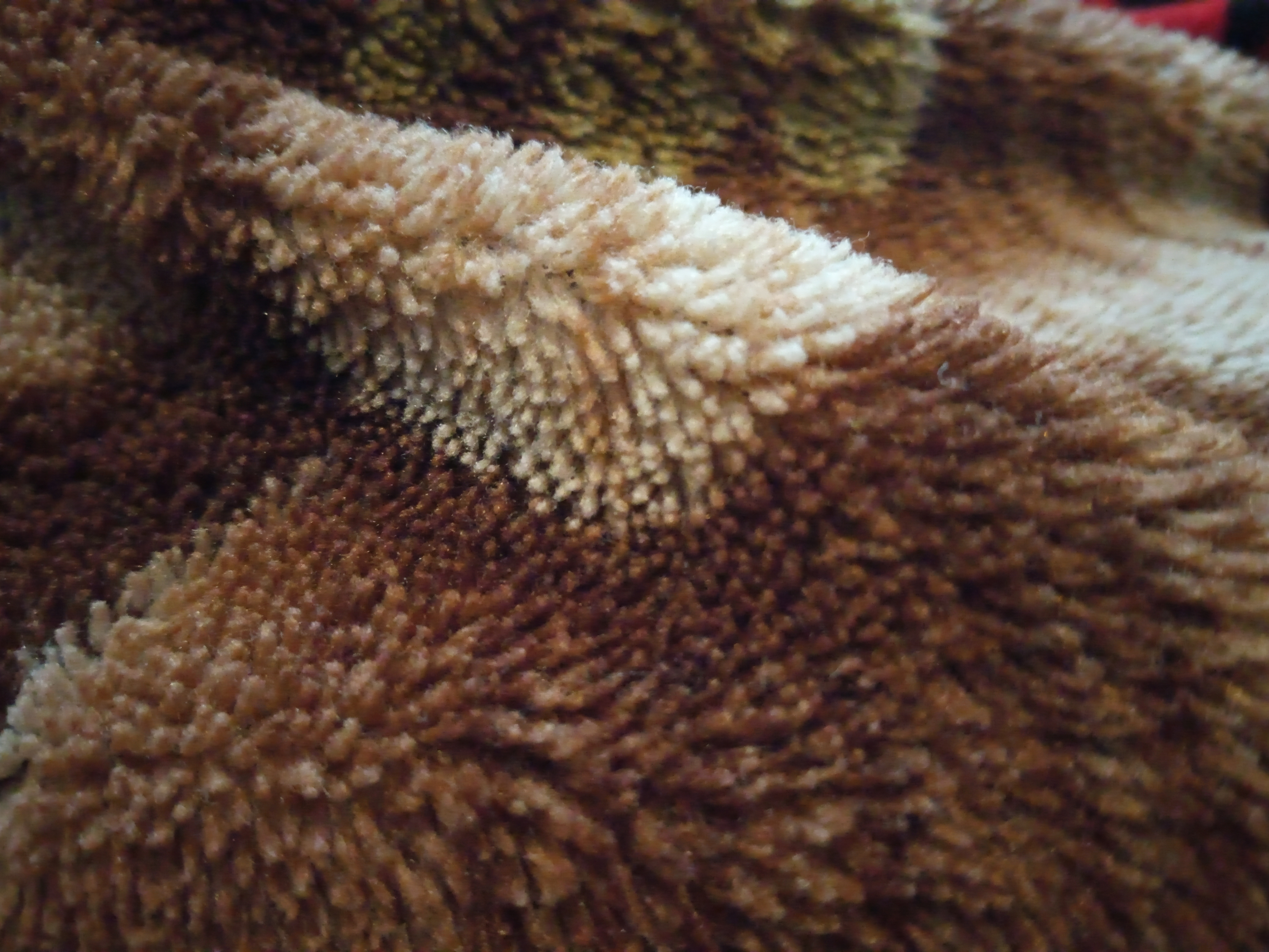 Memes & roasted videos