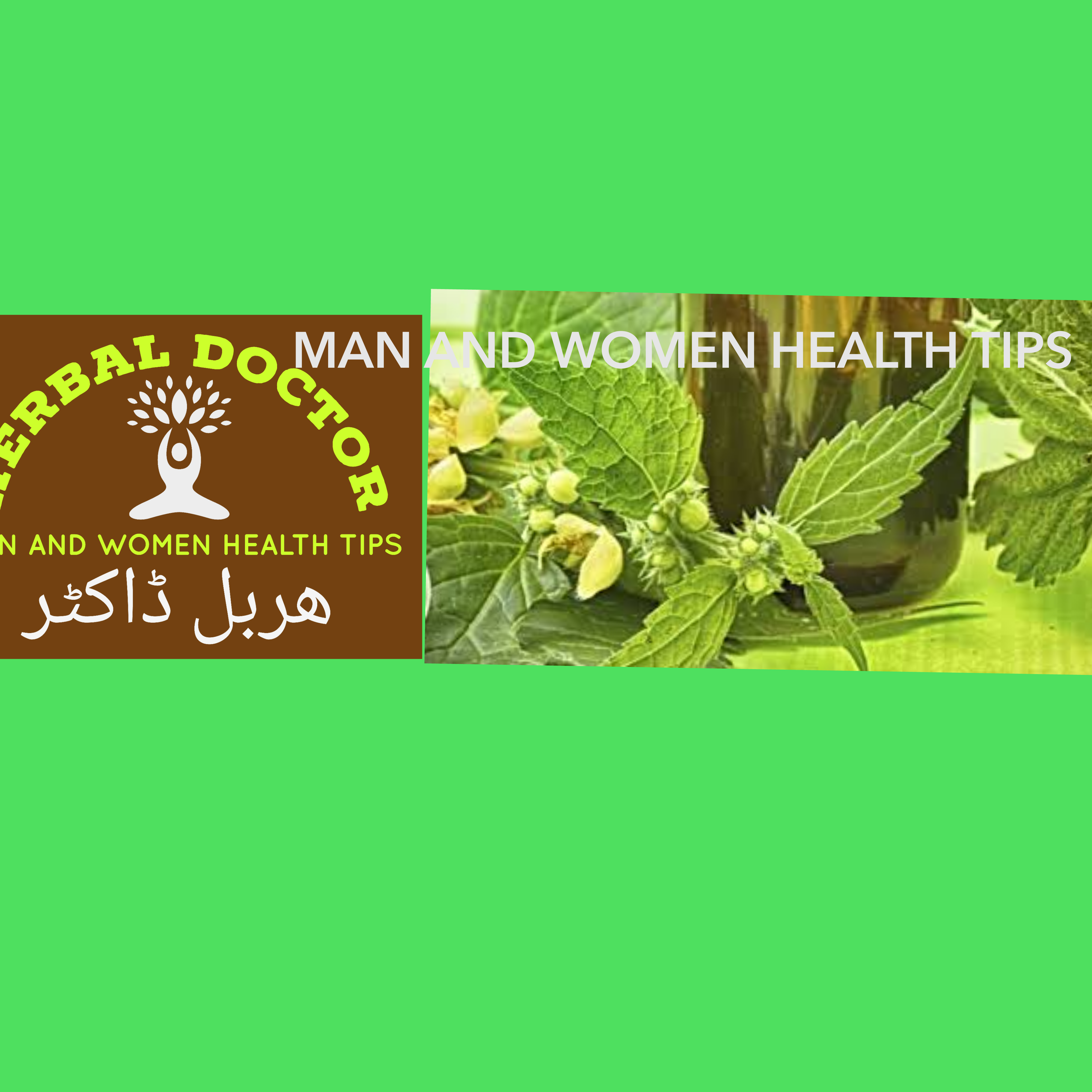 Herbal physician Afzal Ansari