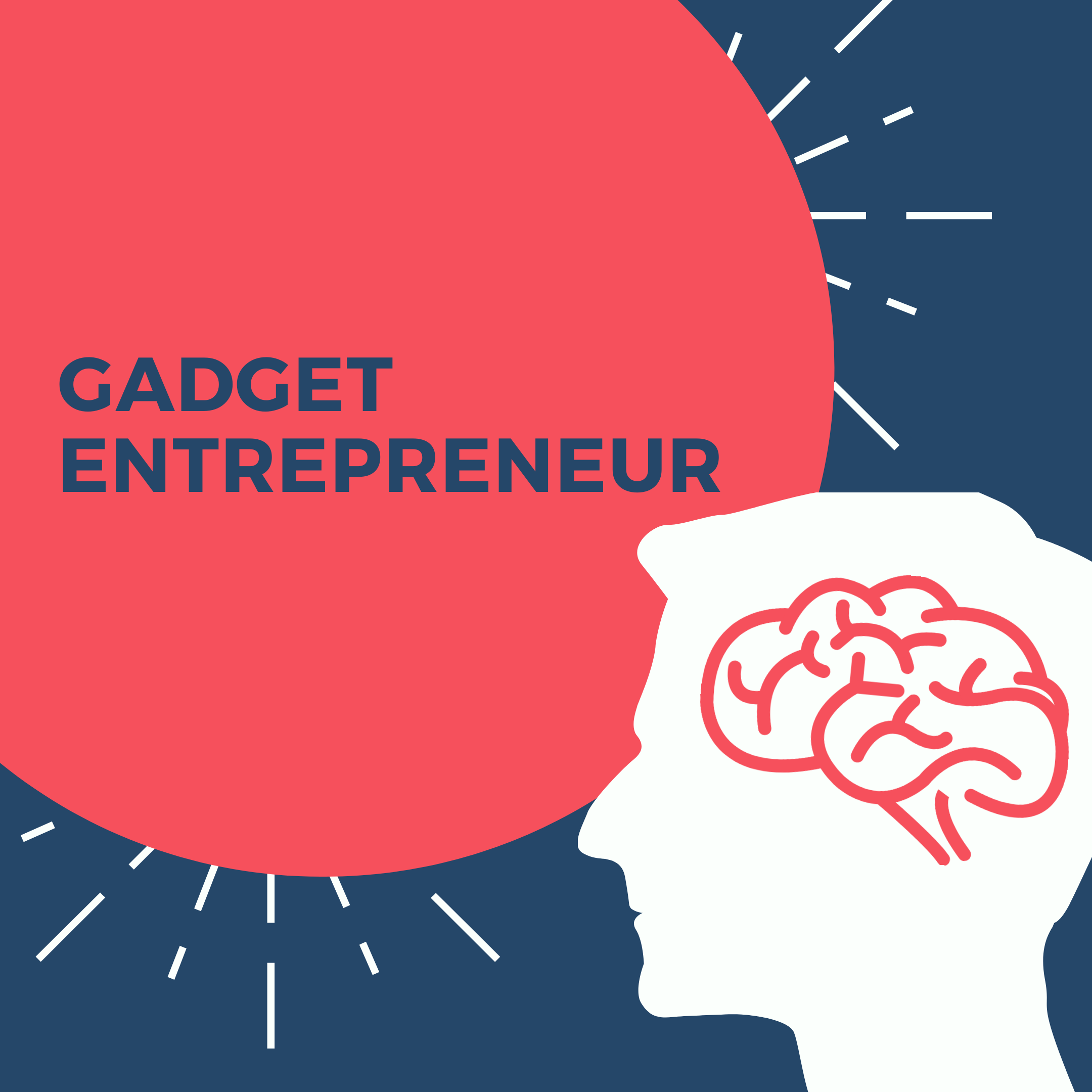 Gadget Entrepreneur